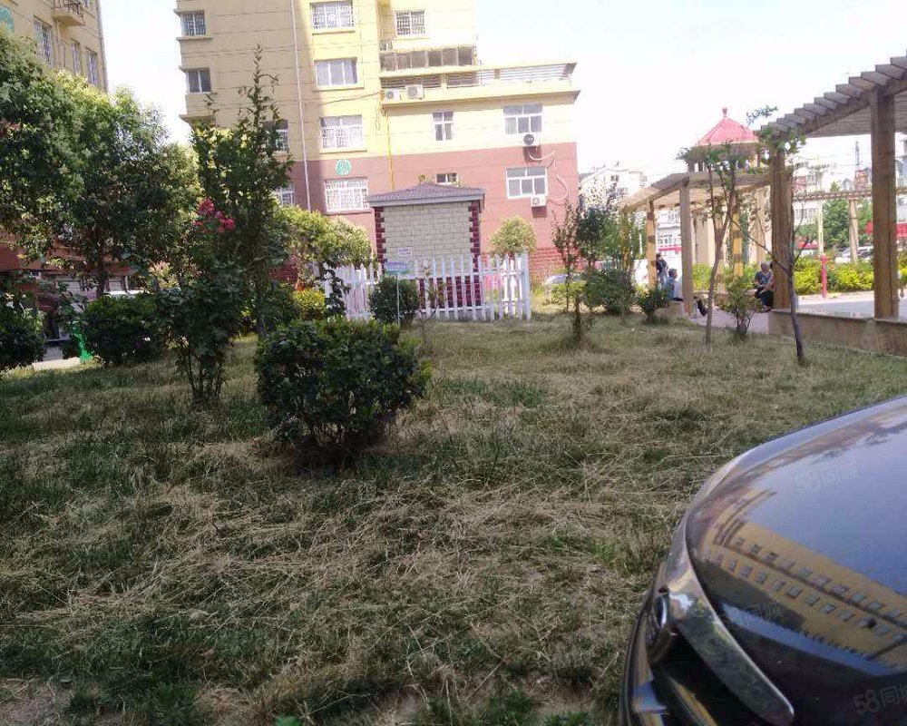 【绿洲国际, 绿洲国际小区详情,房价走势,房源,业主论坛】- 曹县58