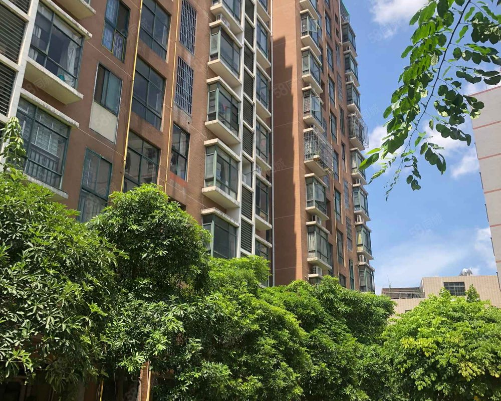 阳光巴洛克棕榈林