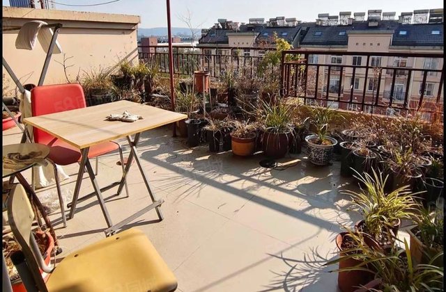 世纪新都(D区)3室2厅133㎡62万二手房图片