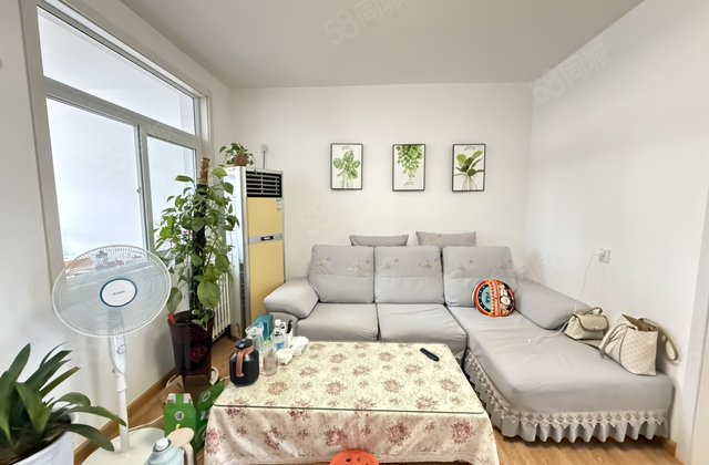 文轩中学 门口龙山北区 中层 精装三室两厅 免大税急售可按揭