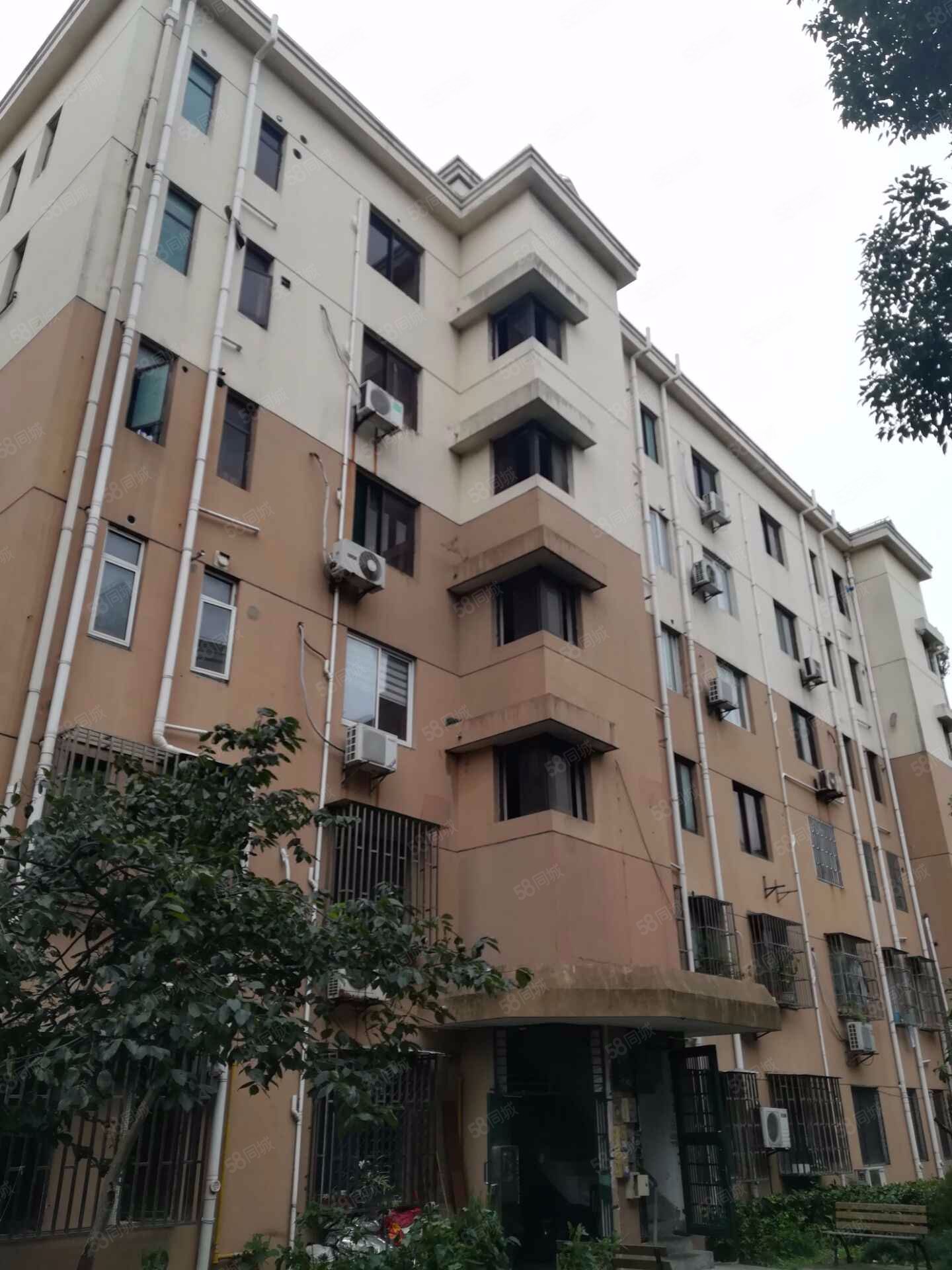 杨园一村1室1厅1卫37.82㎡南130万