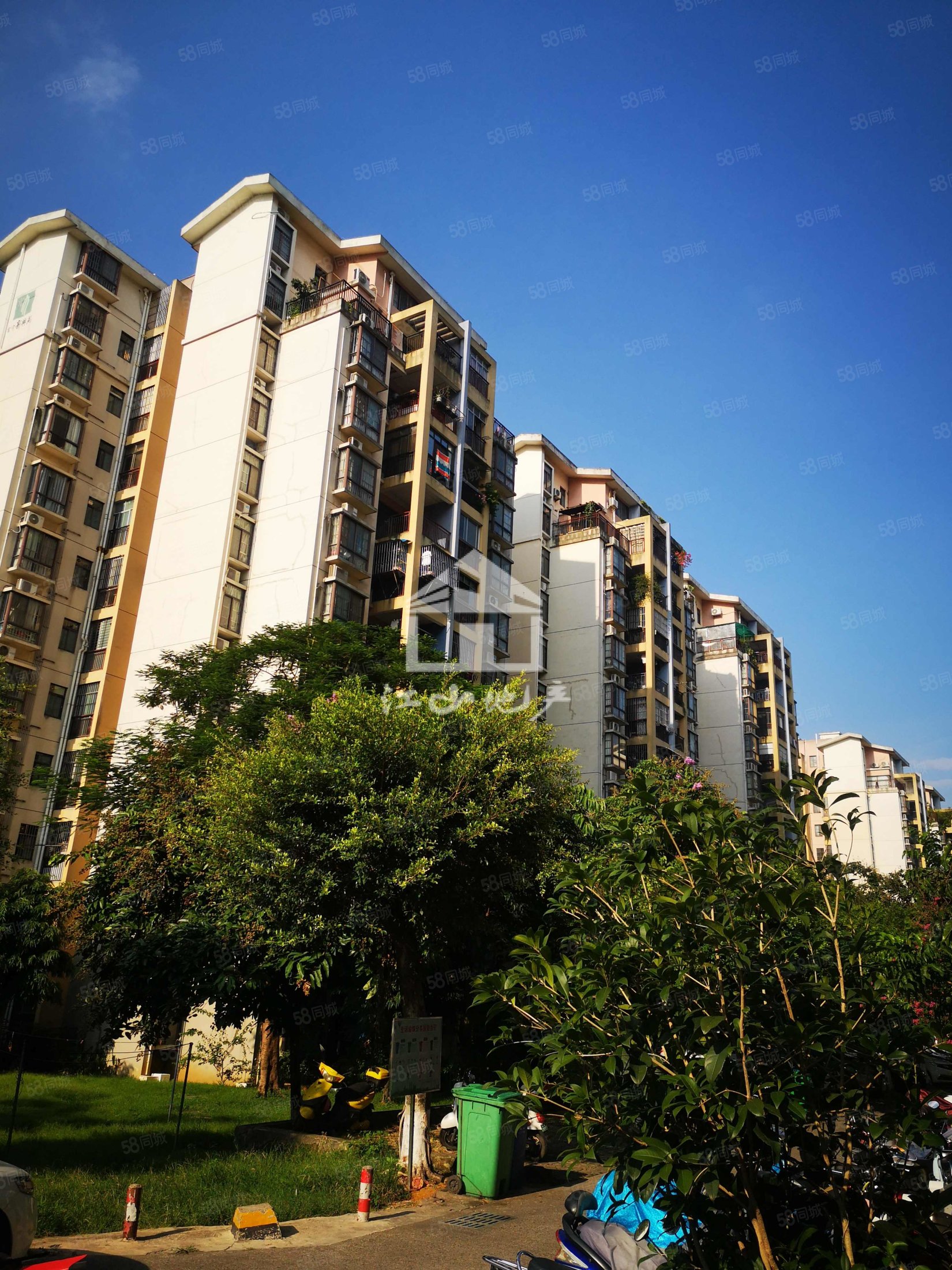 富宁新兴苑(北区)2室2厅1卫85㎡东65万