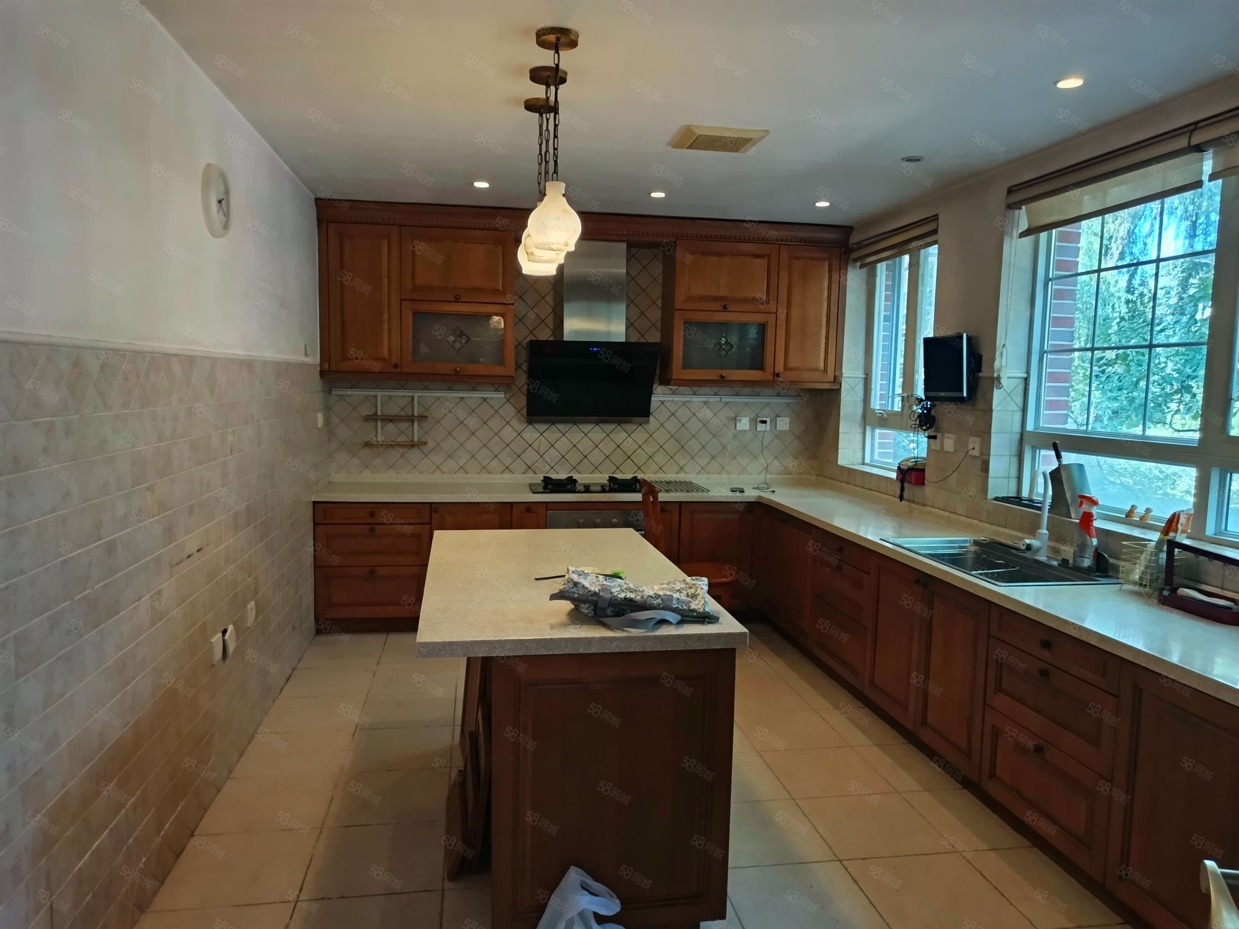 碧水莊園5室2廳4衛(wèi)303㎡南北1700萬