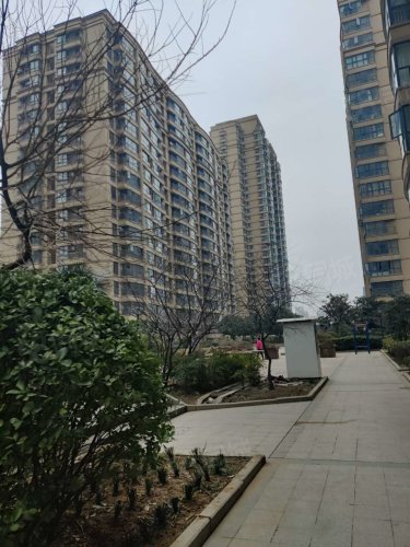 中原新城王府一号安置区