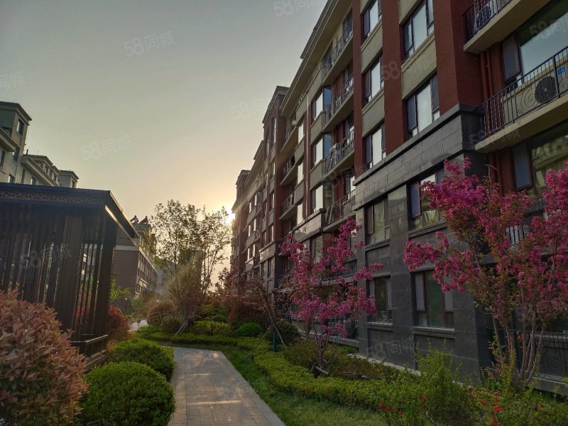 电梯洋房 四室 带地下室 采光好有钥匙,紫金园天骄御园-潍坊58同城