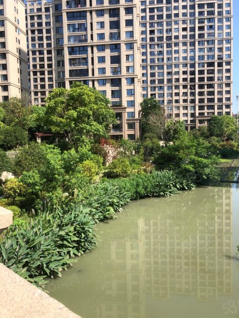 平阳华鸿锦园3室2厅2卫123.01㎡南北190万