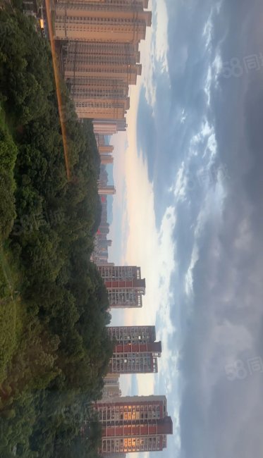 北湖豪苑6室3厅3卫300㎡南198万