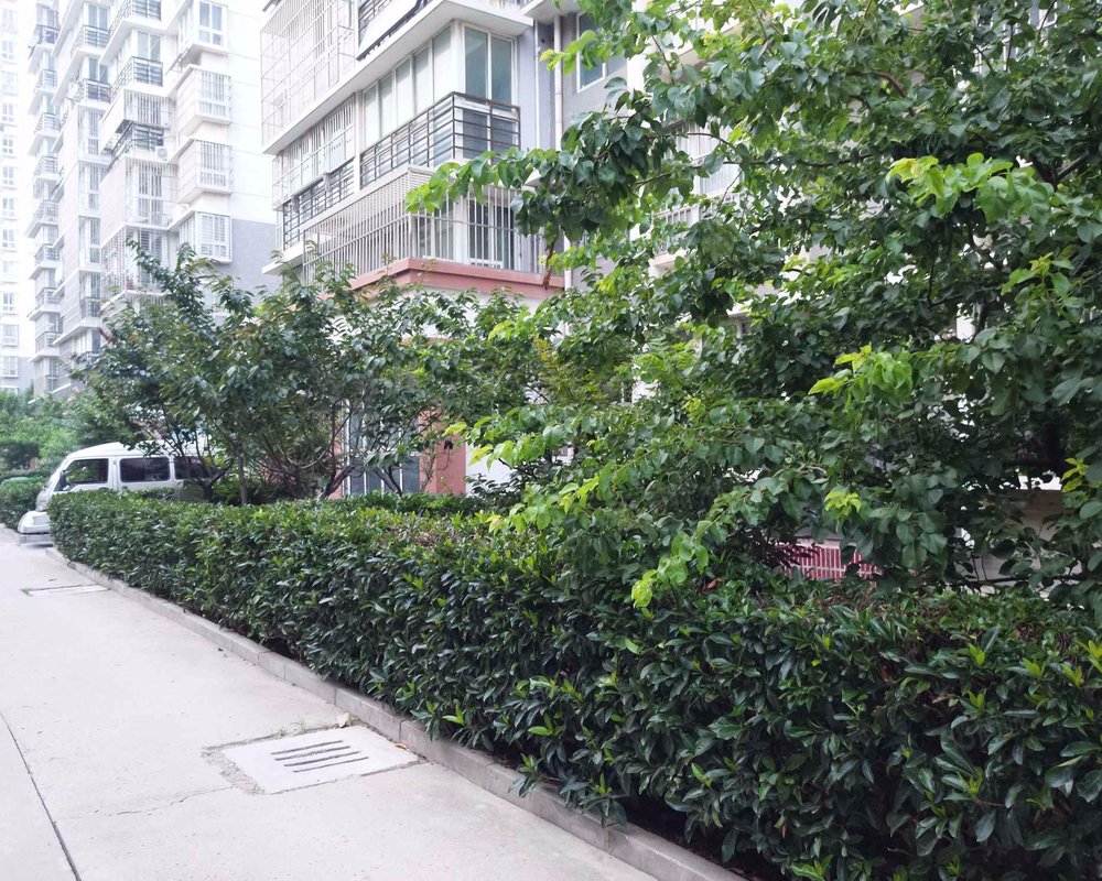 金程太阳花园小区详情,房价走势,房源,业主论坛】- 徐州58同城