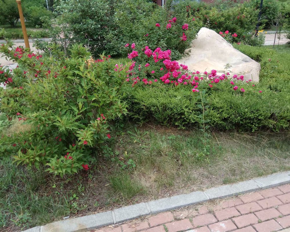 水仙花园二期(庄河)