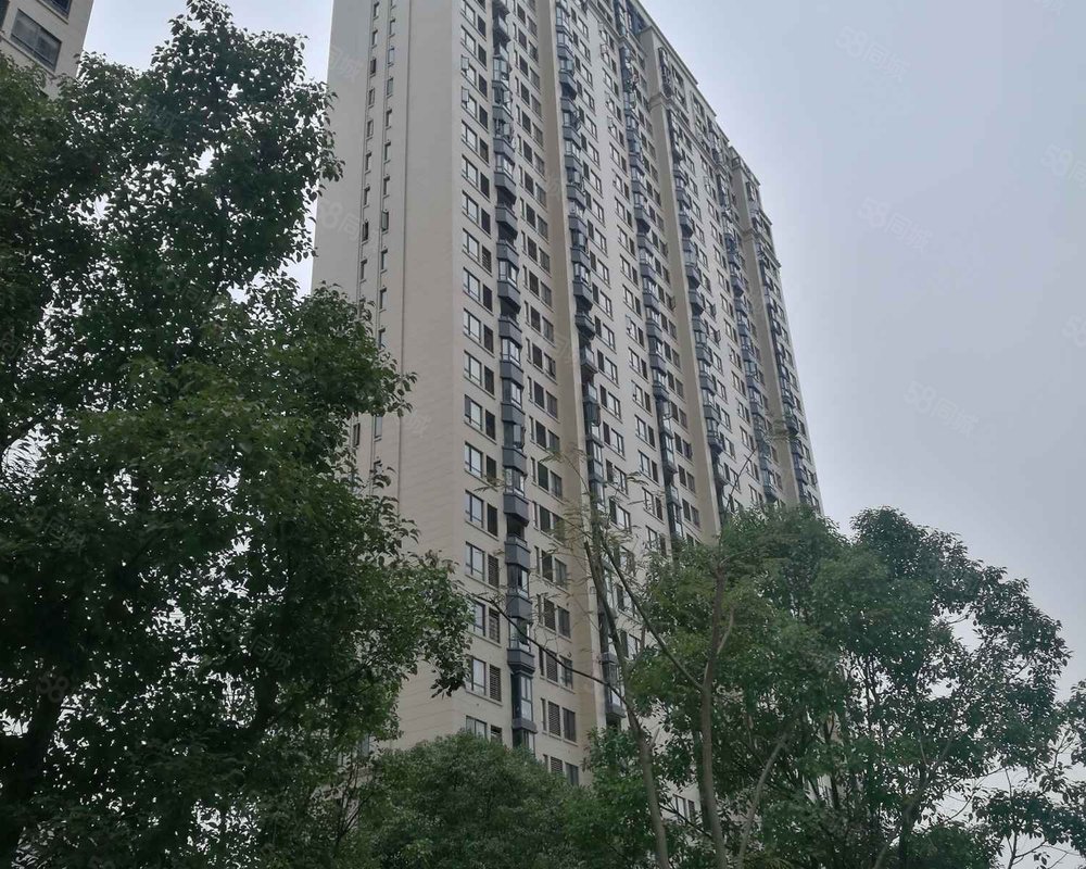 银泰城泰悦府
