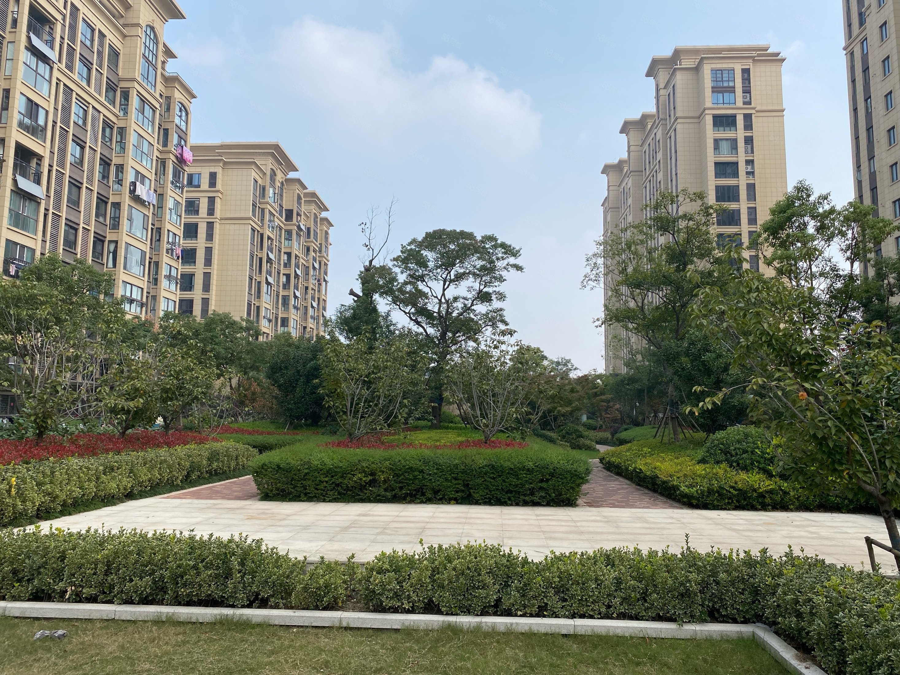 排 国投品质有钥匙 神州路地段三开间朝南,香城世家-盐城58同城