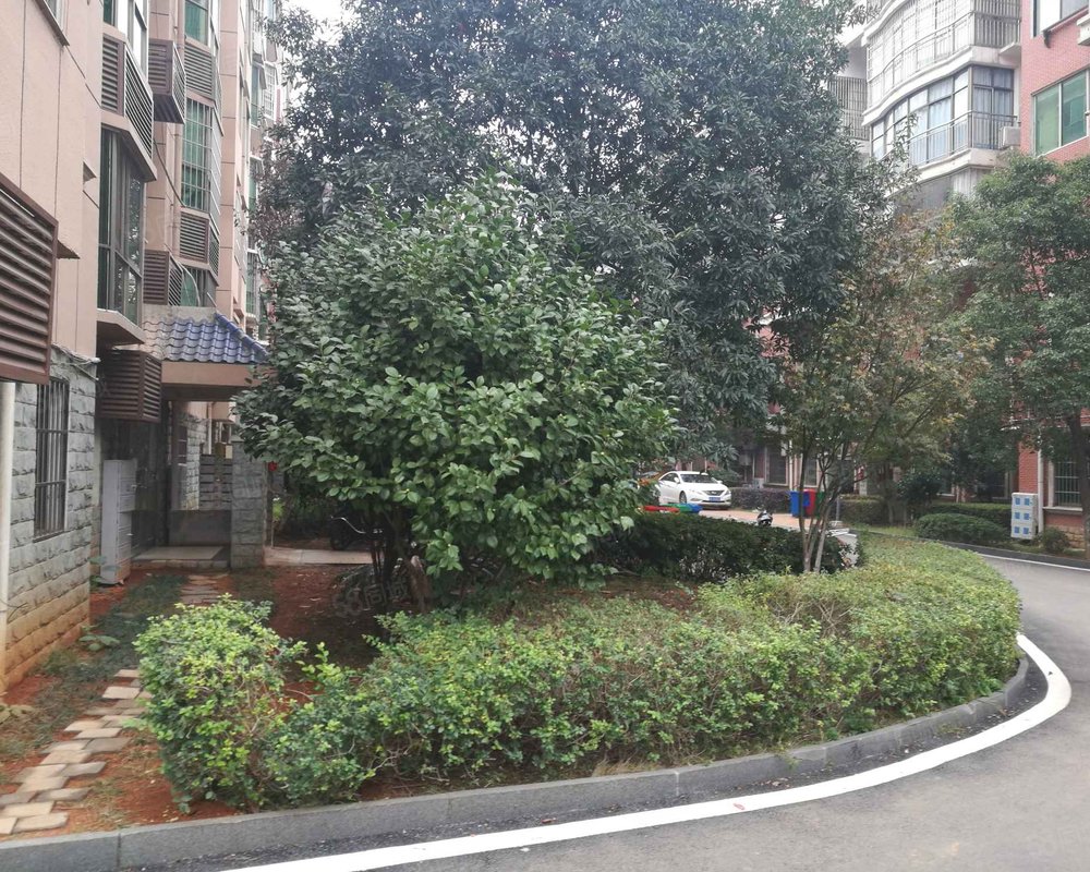 【新景家园, 新景家园小区详情,房价走势,房源,业主论坛】- 湘潭58