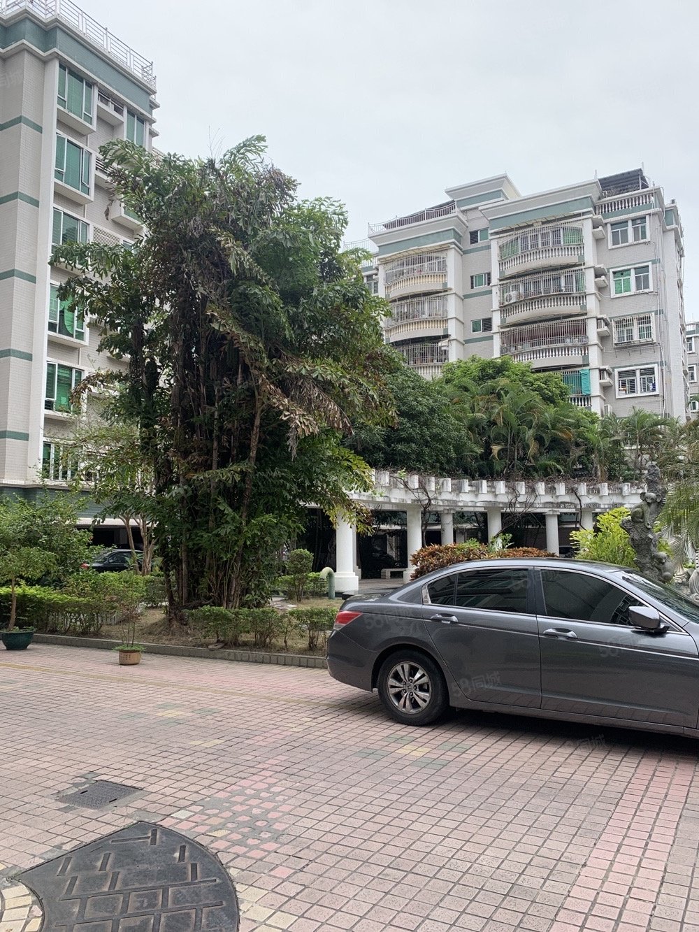 正园心144平方 发财厝 市中心地带,聚龙花园-汕头58同城