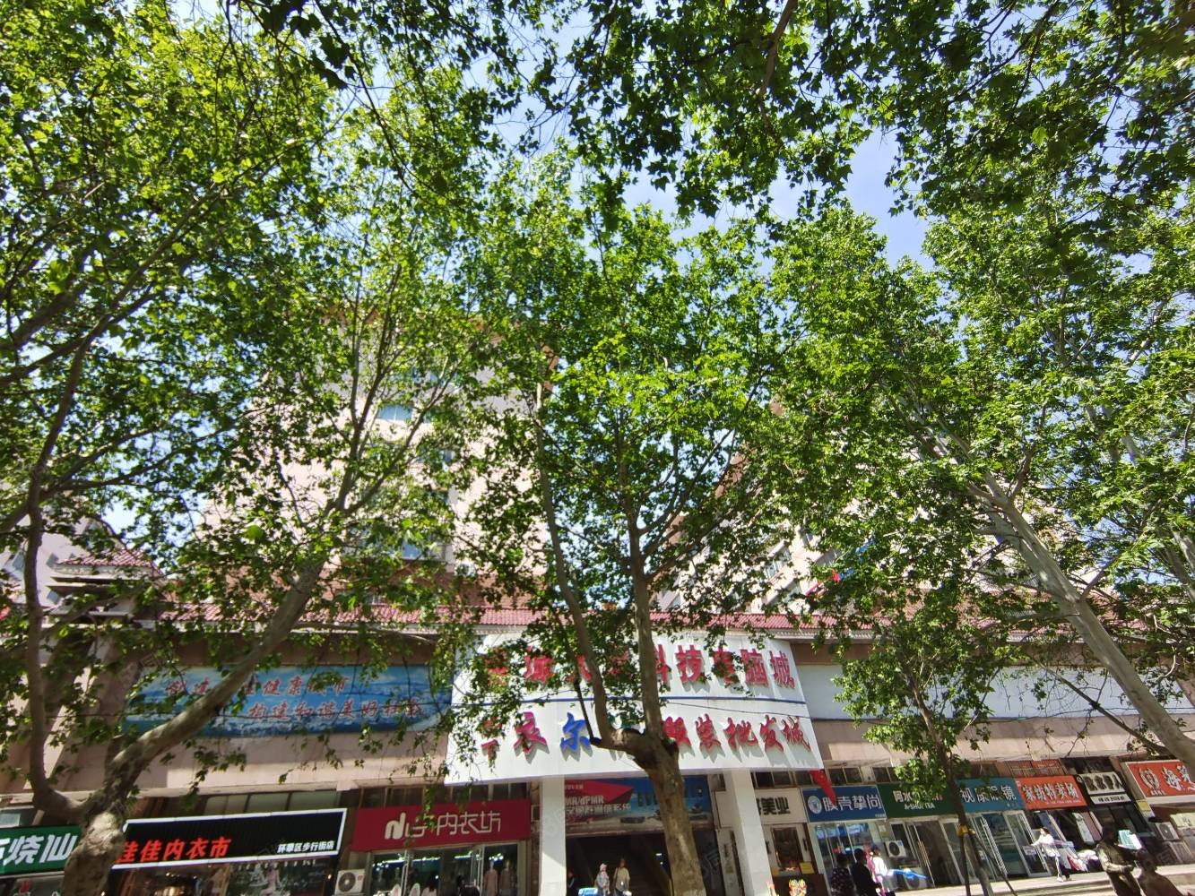 环球广场 鑫城大厦 实验 城里中学 大世界步行街,鑫城大厦-威海58同城