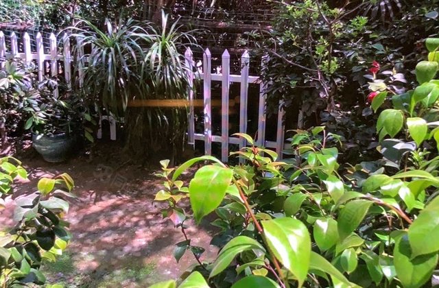 华润凤凰城(一期)2室3厅90.1㎡320万二手房图片