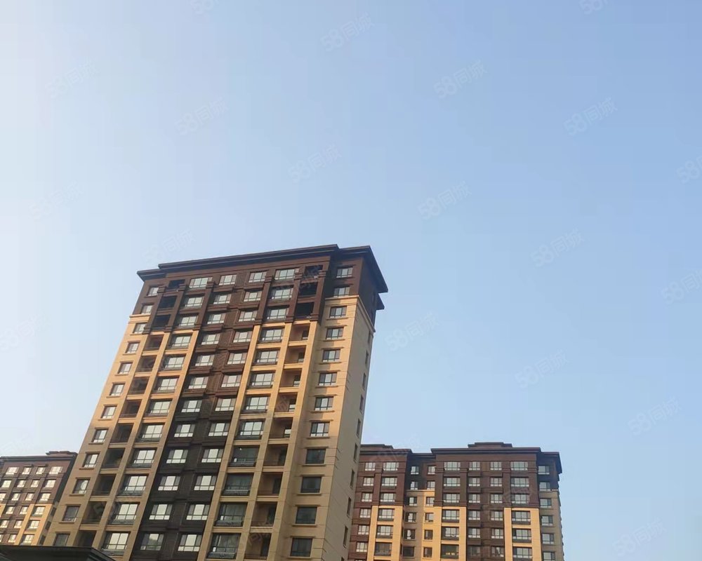 持平商圈区域滕州北辛详细地址善国北路建