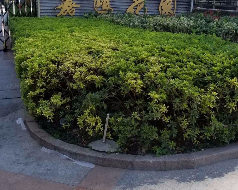 【嘉鸿花园, 嘉鸿花园小区详情,房价走势,房源,业主论坛】- 温州58