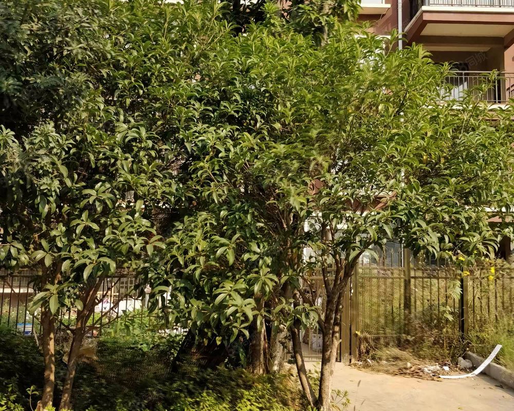 【黄家湖小区, 黄家湖小区小区详情,房价走势,房源,业主论坛】- 南昌