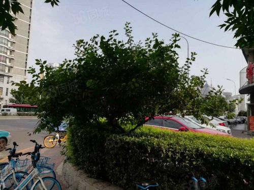 【博泰大厦房价走势,博泰大厦房屋出租,博泰大厦二手房出售】- 天津58