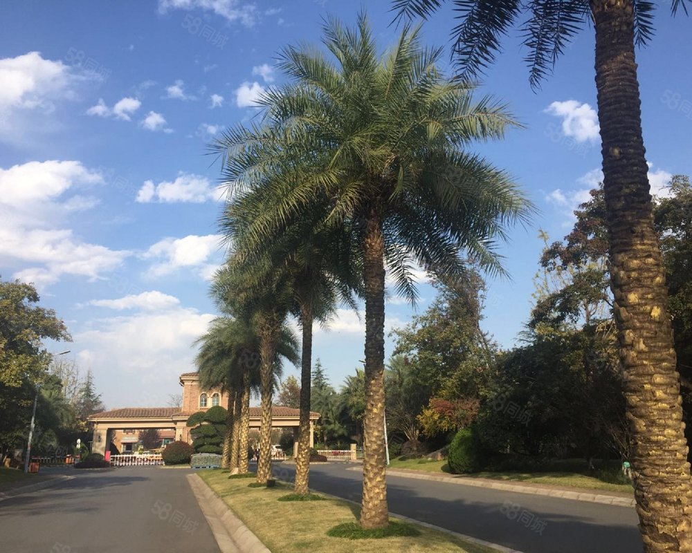 【纳帕溪谷, 纳帕溪谷小区详情,房价走势,房源,业主论坛】- 武汉58