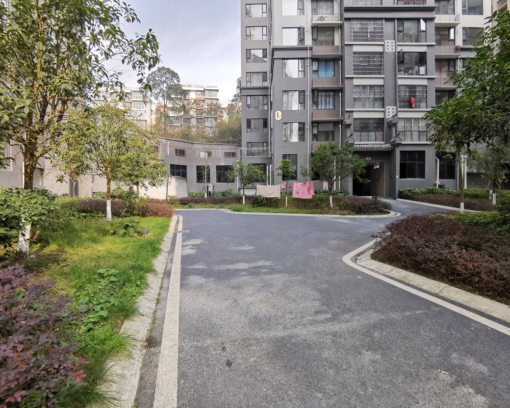 梓锦名著