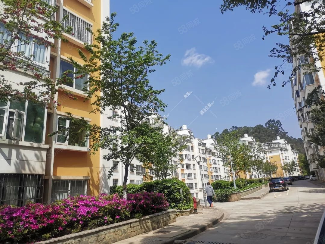 二环内一梯两户板房莲华  旁警苑小区126平3室2卫看房方便