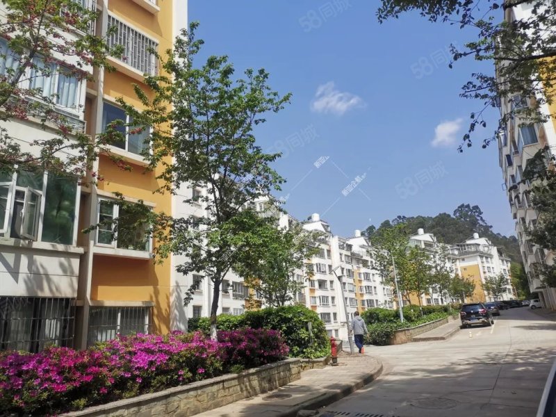 二环内一梯两户板房莲华  旁警苑小区126平3室2卫看房方便