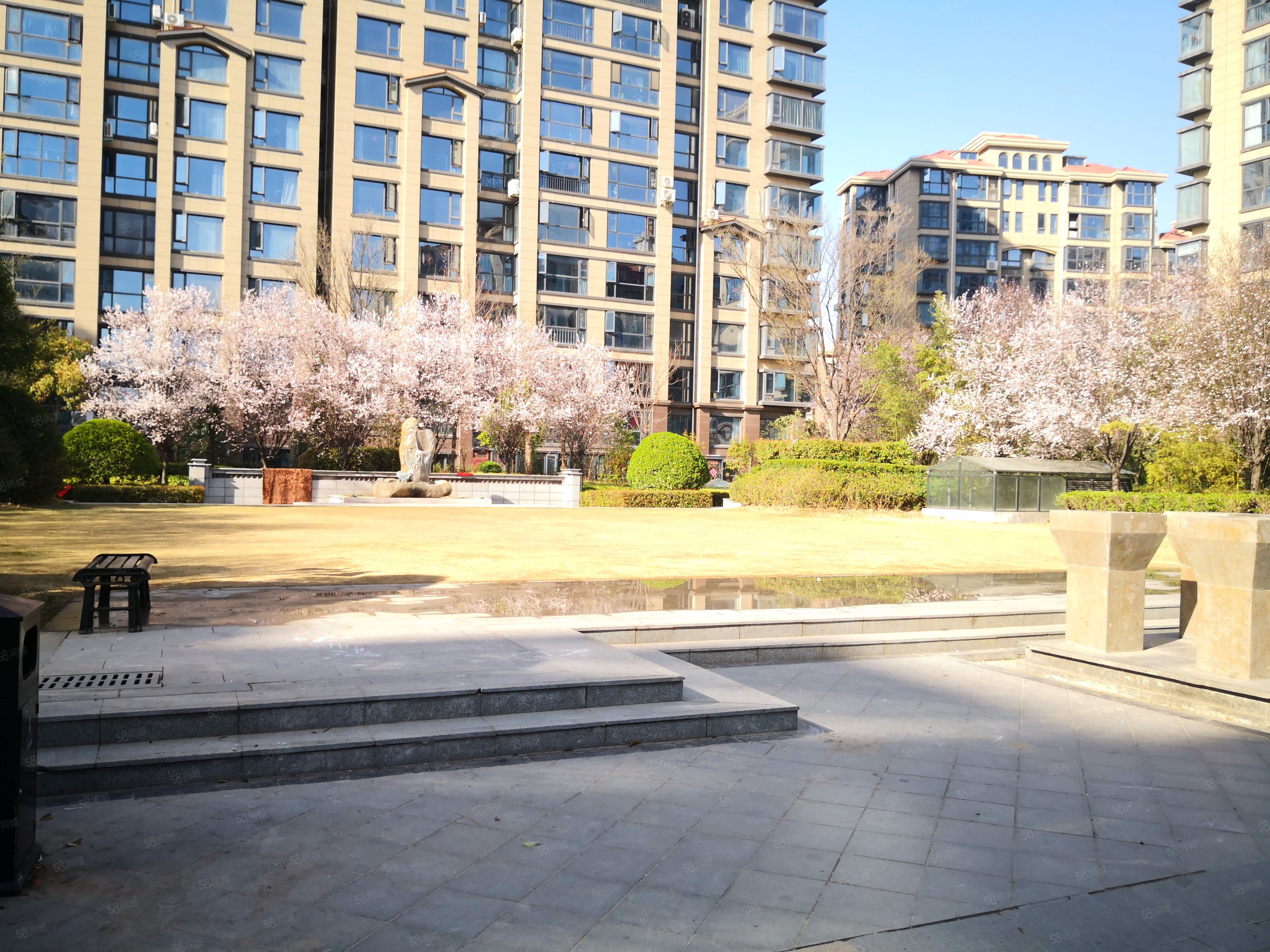 青岛花园 精装大三室 小高层直观日月湖,青岛花园-商丘58同城