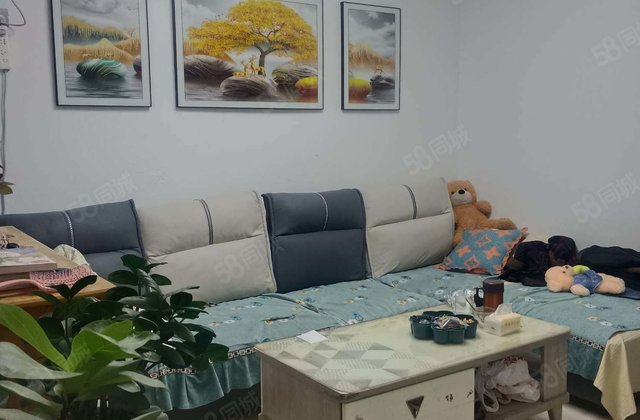 文轩外国语 羡林苑 两室 看房方便