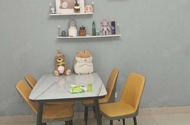 文轩外国语新小区电梯房三室可按揭