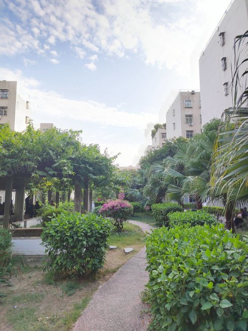 富丽华庭3楼房产证132平方4房2厅精装修售价63万