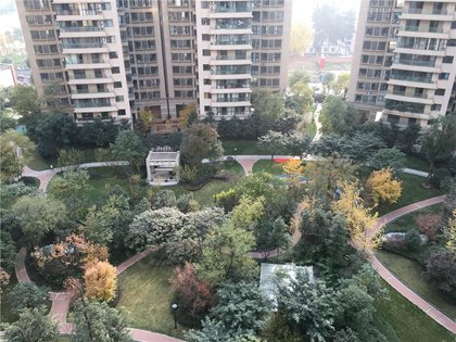 软件园是哪个街道 420x315c.jpg