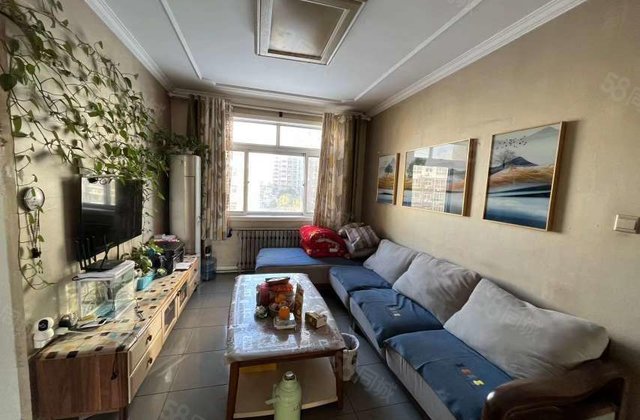 东昌中学  新星    金鼎  新东方广场  带家具家电