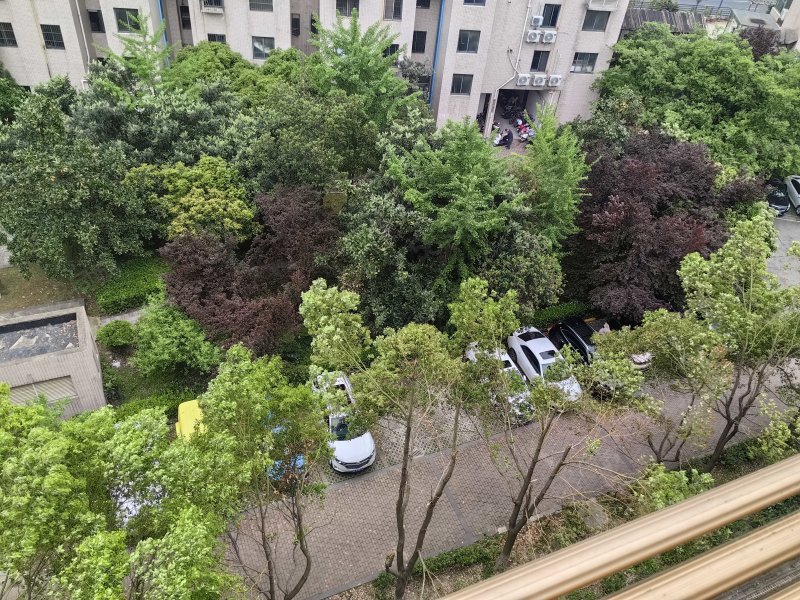 蔚蓝新都(南区)3室2厅2卫113㎡东40万