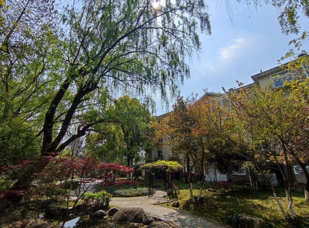 【10图】碧湖云溪一期 4 房 280 方,碧湖云溪(一期别墅)-合肥58同城