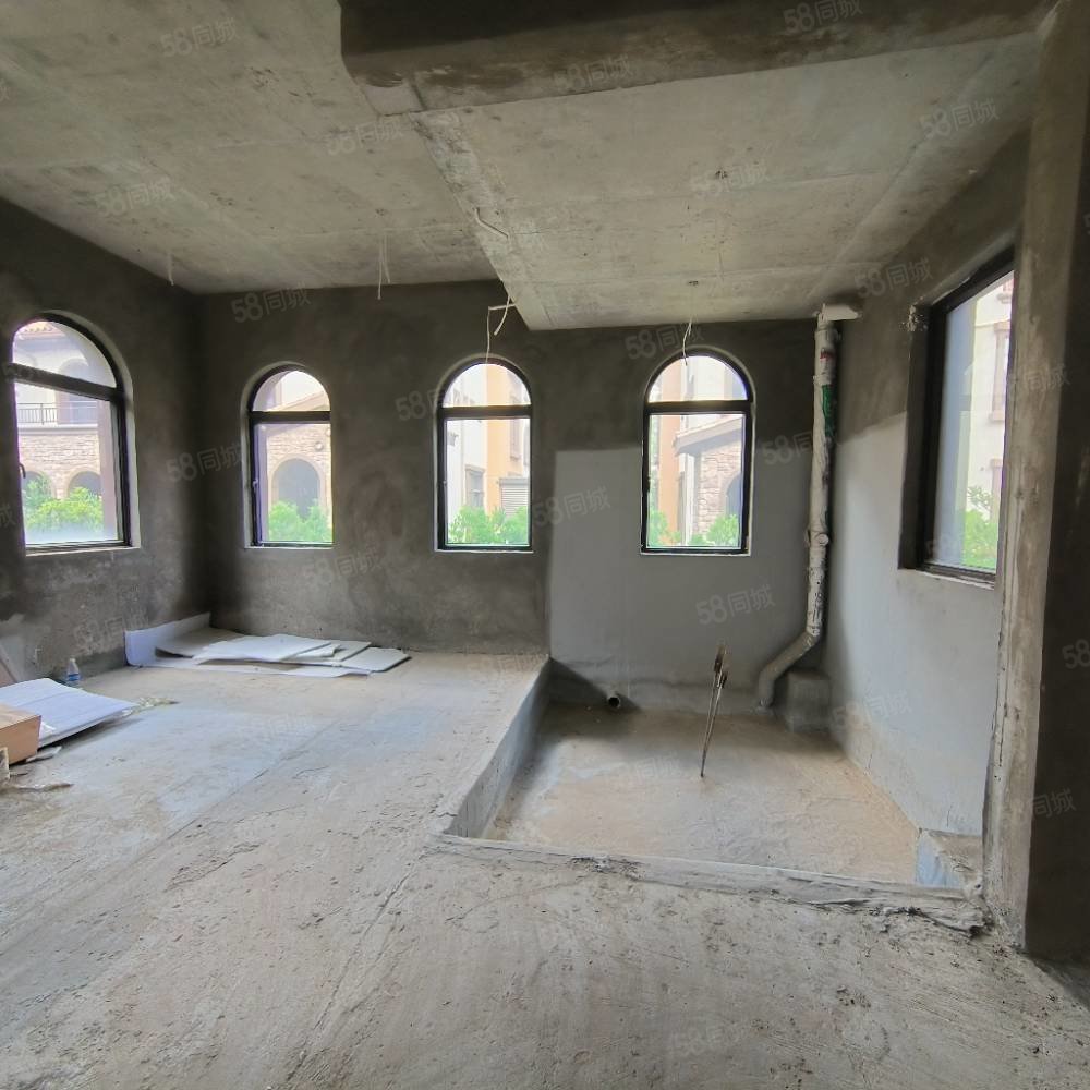 北部新洲莱茵别墅8室3厅7卫540㎡南北396万