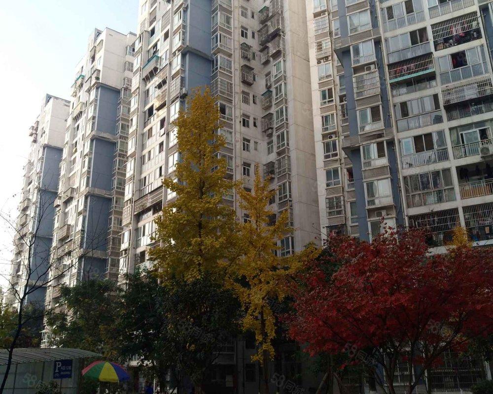 临江丽苑三期a区第一绕城第二绕城高速之间