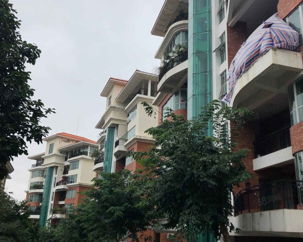 【映湖山庄, 映湖山庄小区详情,房价走势,房源,业主论坛】- 东莞58