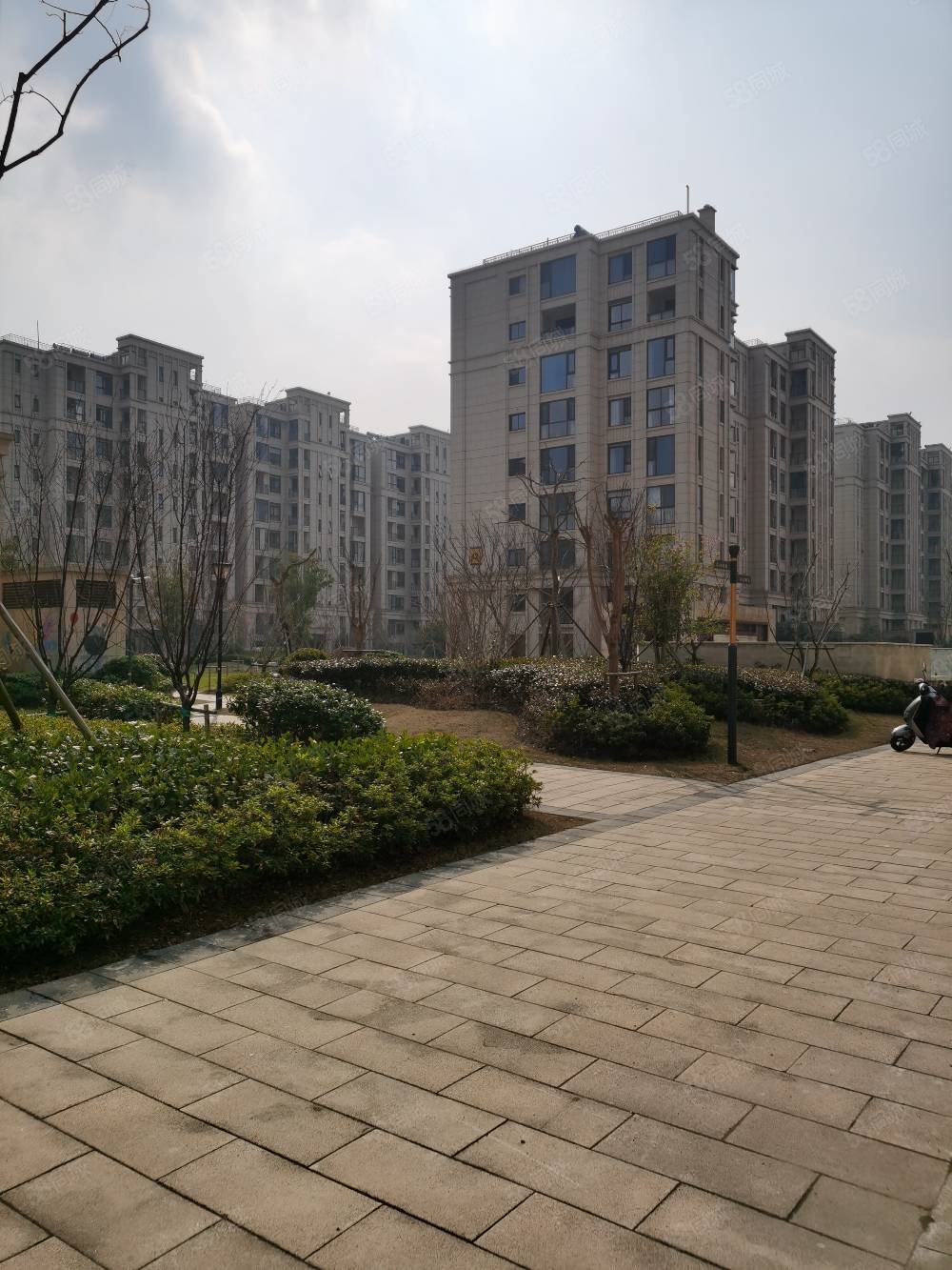 壹号绿地半岛纯洋房横厅满二年128平295万,半岛印象花园-苏州58同城