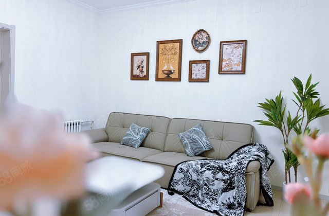 老文轩  中医院家属院小区 交通便捷 刚需小三居  近医院