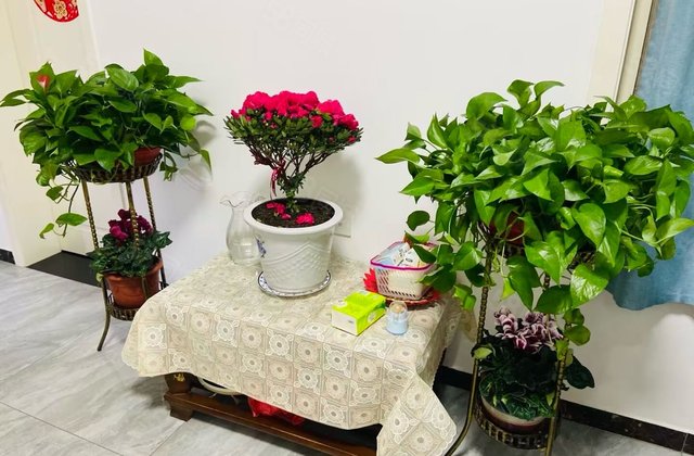 西苑新村(巢湖)2室1厅67.77㎡26万二手房图片