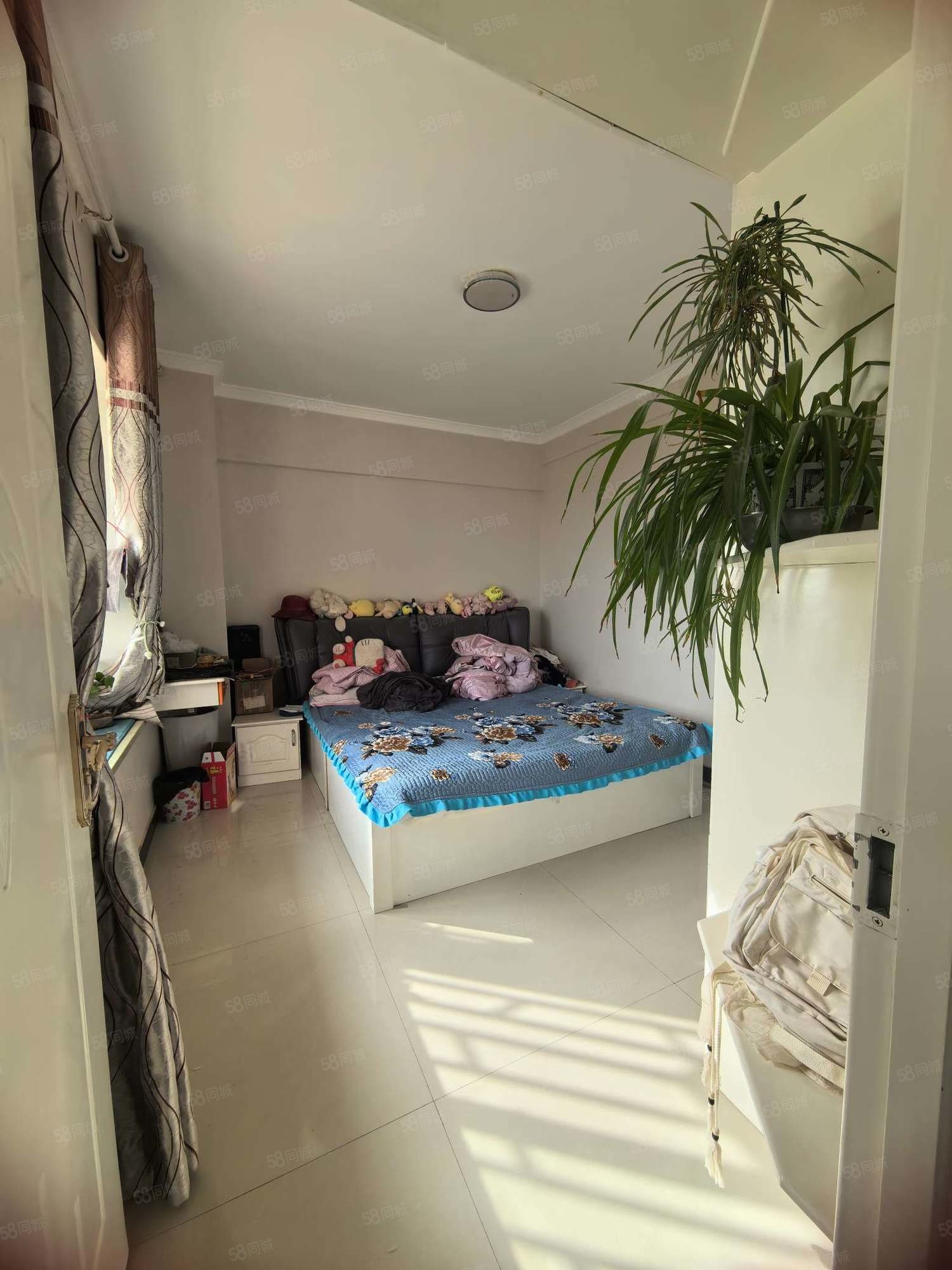 新苑名府2室2厅1卫94.6㎡东西38.8万