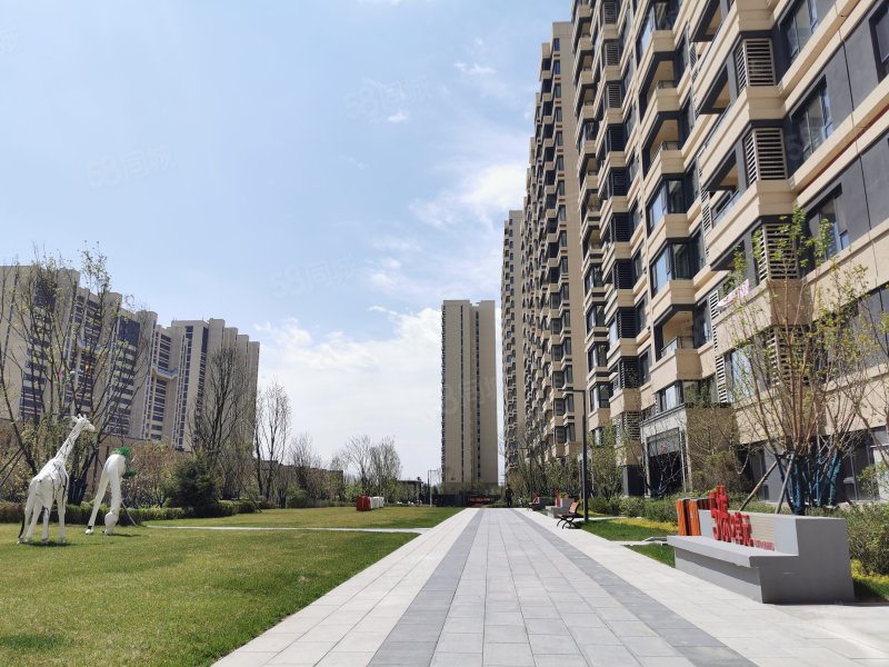万科城市之光3室2厅1卫105.14㎡南北143万