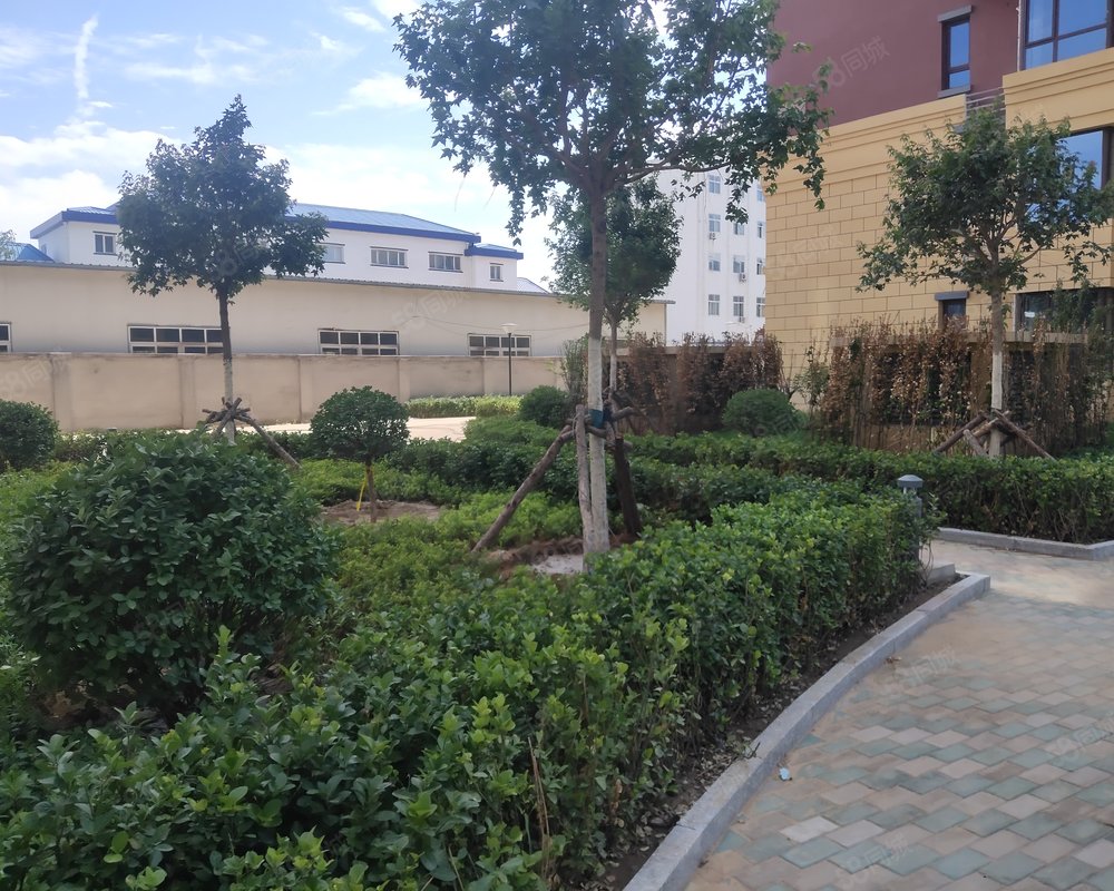 【金都尚街, 金都尚街小区详情,房价走势,房源,业