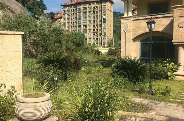 福鼎300-500㎡二手房网,福鼎300-500㎡房产网,福鼎300-500㎡二手房