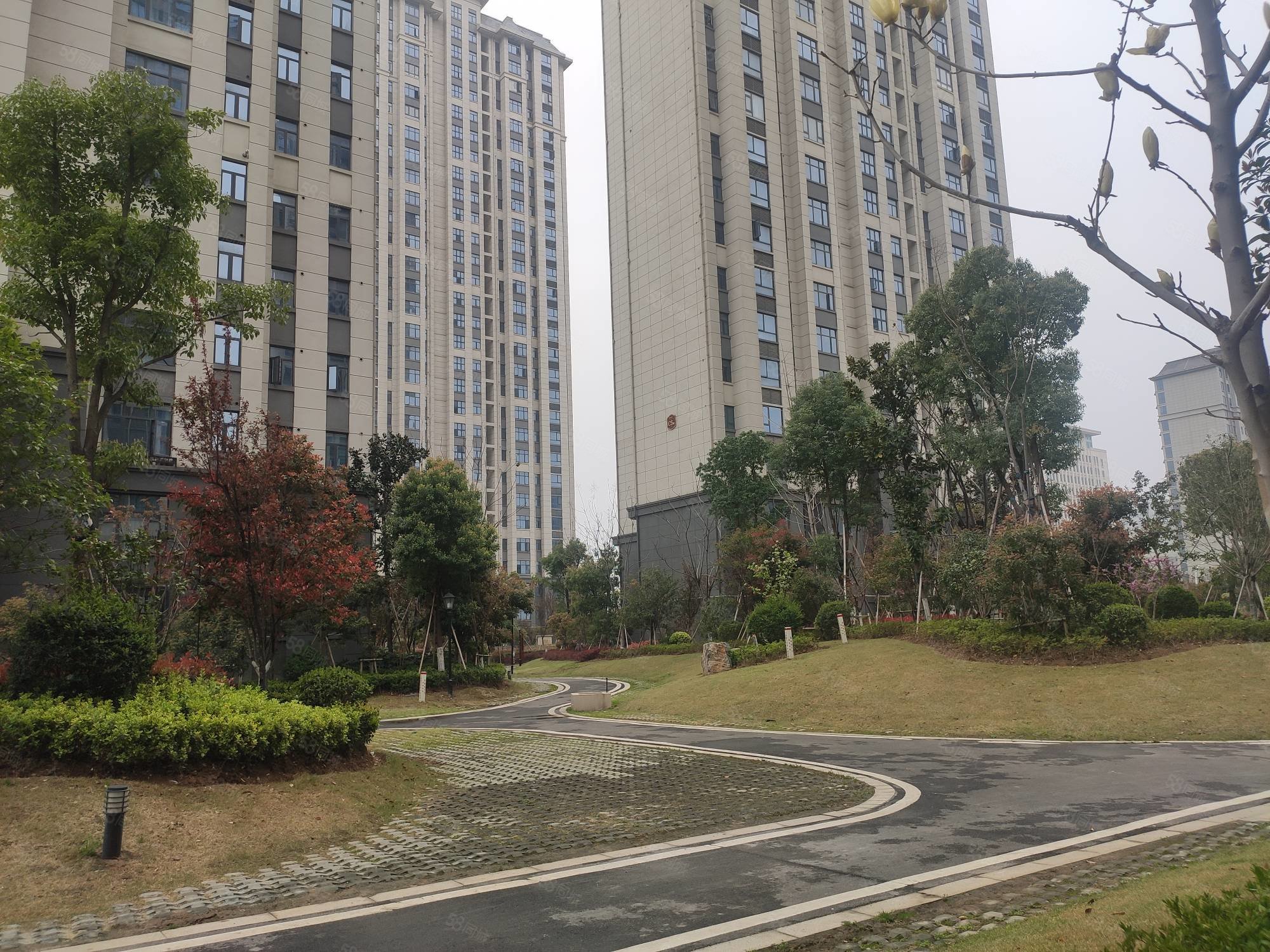 骧龙国际景秀园3室2厅2卫125㎡南北118万