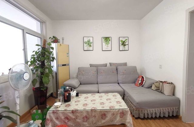 老文轩，外国语，财局 检察院龙山北区，星光文轩花园，山水文园