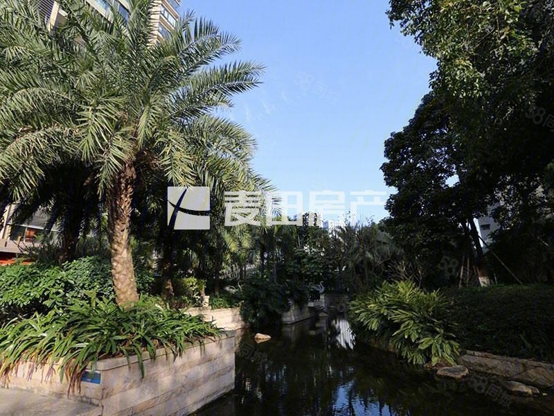 楼层好 南北通透 双卫生间 交通便利,国贸蓝海(公寓住宅)-厦门58同城