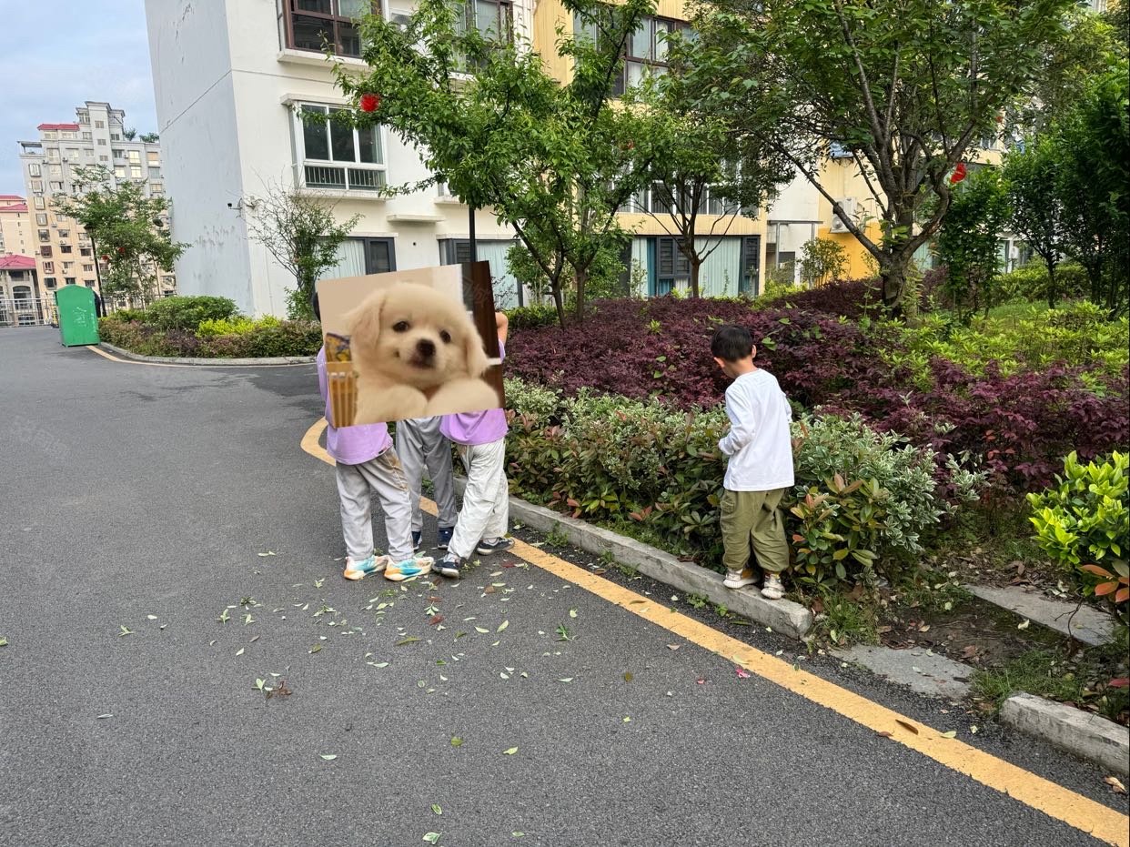 半山御景2室2厅1卫82㎡南北58万