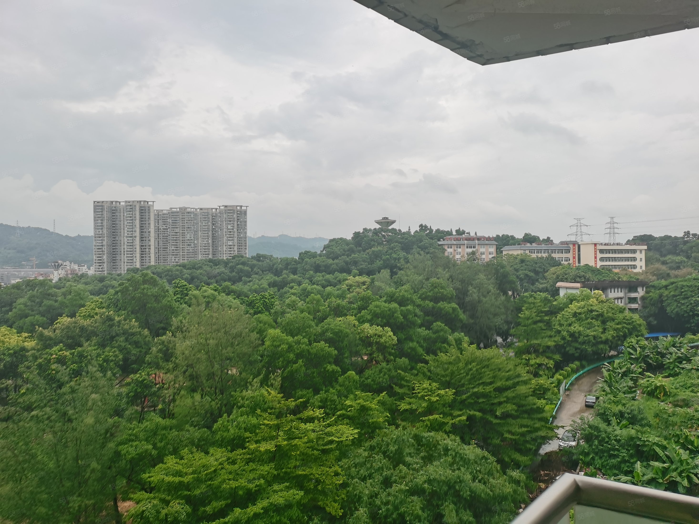 【10图】南湖半山豪廷 166方4房2厅 满5 急卖,南湖半山豪廷-广州58